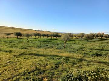 Vakantieappartement voor 9 Personen in Uniao de Freguesias Idanha-a-Nova e Alcafozes, Centro (Portugal), Afbeelding 3