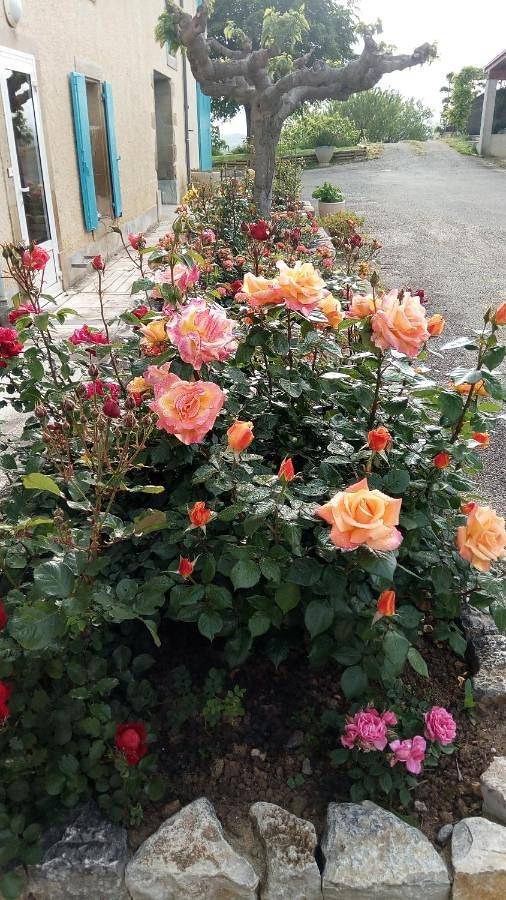 Double Room with Private Bathroom in Villelongue-d'Aude, Région de Limoux