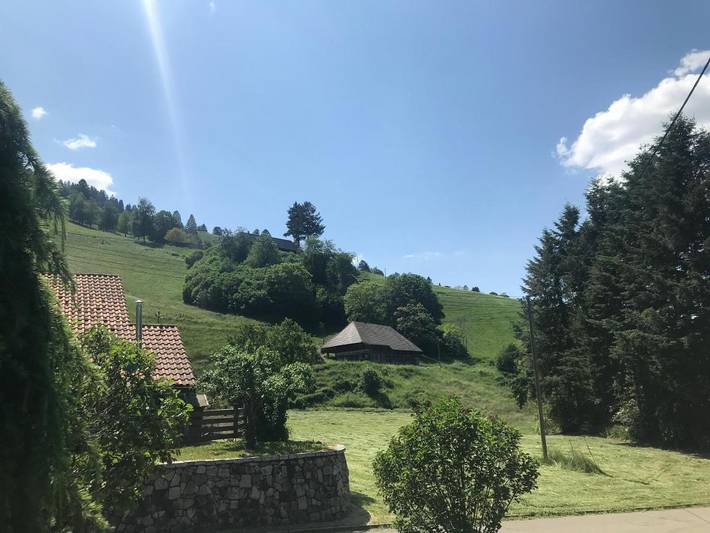 Gîte pour 2 personnes, avec jardin à Münstertal - 3
