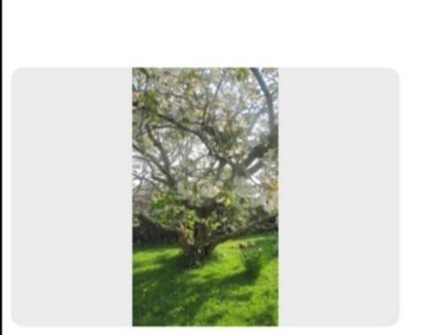 Chambre d’hôte pour 2 personnes, avec Jardin à Sligo - 3
