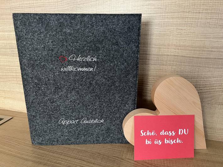 Ferienwohnung für 6 Personen, mit Ausblick und Garten, kinderfreundlich in Vandans - 3