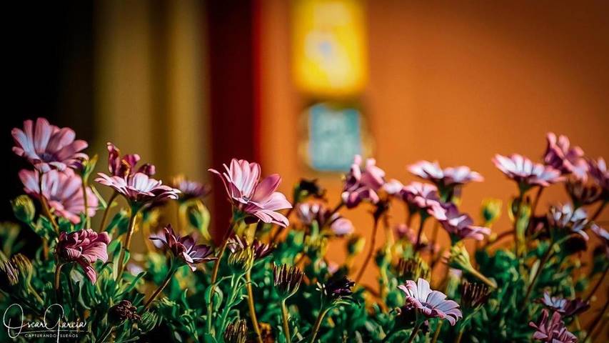 Hotel para 2 personas, con jardín en Mariña Oriental - 3