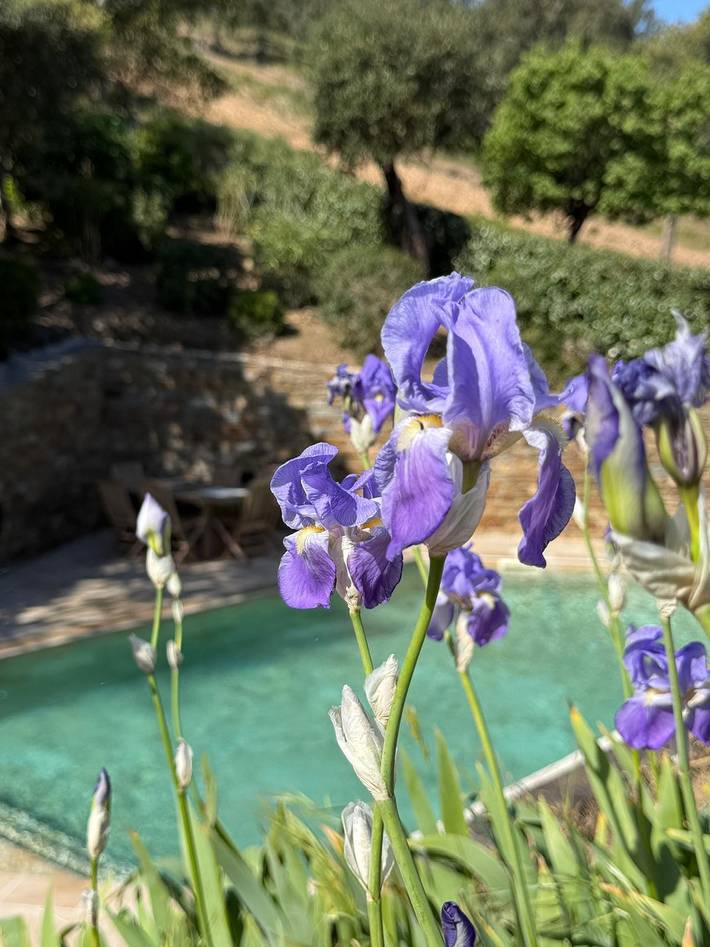 Location de vacances pour 8 personnes, avec jardin et balcon à Bormes-les-Mimosas