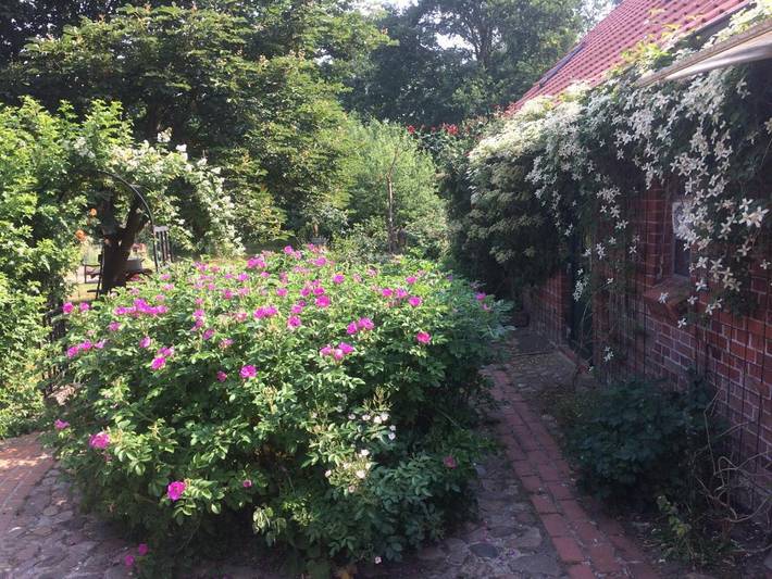 Ferienwohnung für 2 Personen, mit Terrasse und Garten in Amt Neuhaus - 3