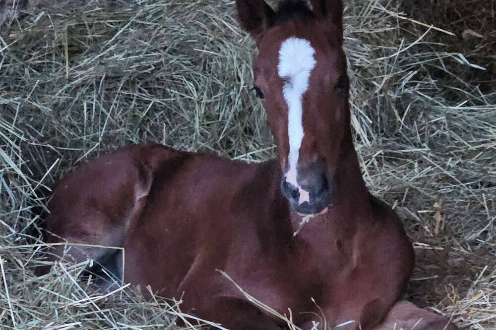 Chambre D’hôte pour 2 Personnes dans Maine-de-Boixe, Charente
