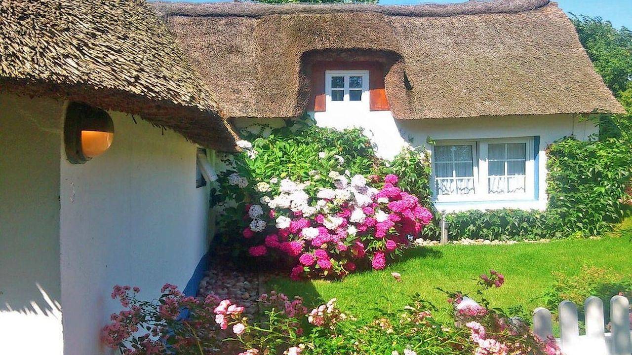 Ferienhaus für 4 Personen (50 m²) in Goting in Goting, Föhr