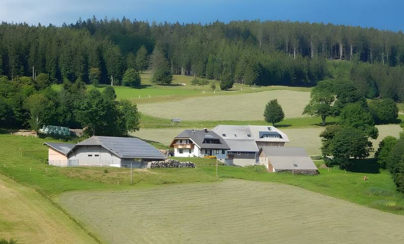 Ferienwohnung für 6 Personen, mit Garten, kinderfreundlich in Münstertal