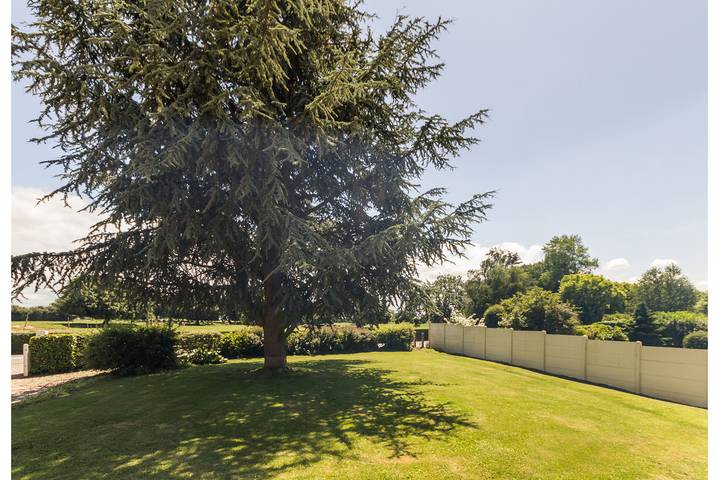 Gîte pour 11 personnes, avec terrasse et jardin, animaux acceptés dans Petit-Caux - 4