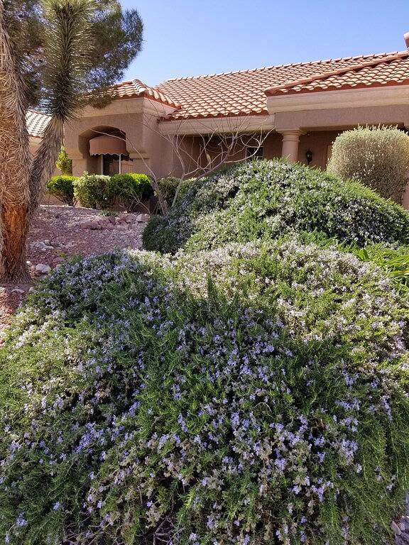 Schöne Sun City Summerlin \"Del Webb\" 55+ im Alter von Restricted Community in Sun City (Las Vegas), Las Vegas