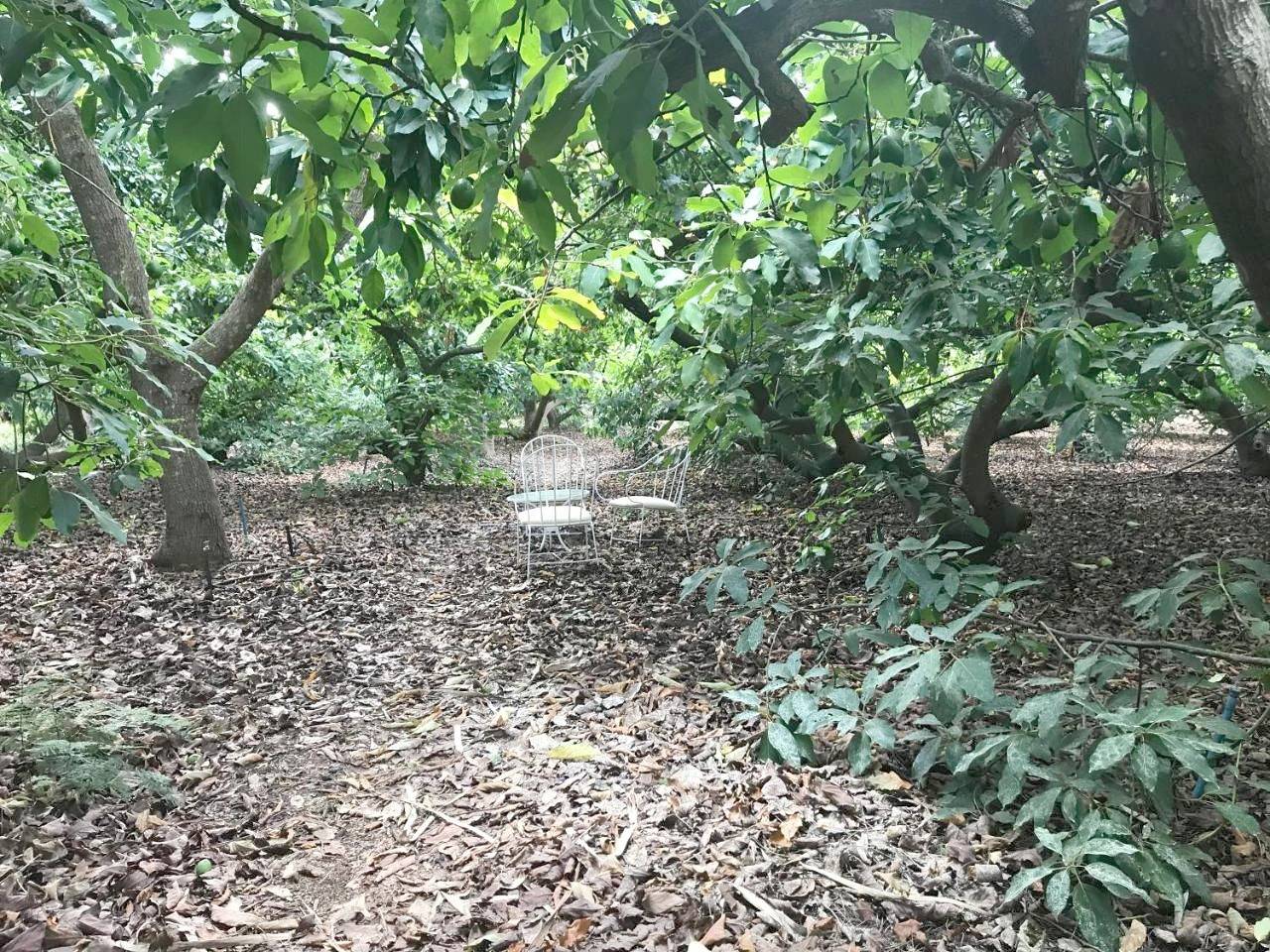 Finca El Vergel Rural in Molina (Canary Islands), San Cristóbal de La Laguna