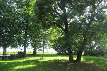 Agriturismo pour 6 Personnes dans Montréal (Gers), Gers, Photo 4