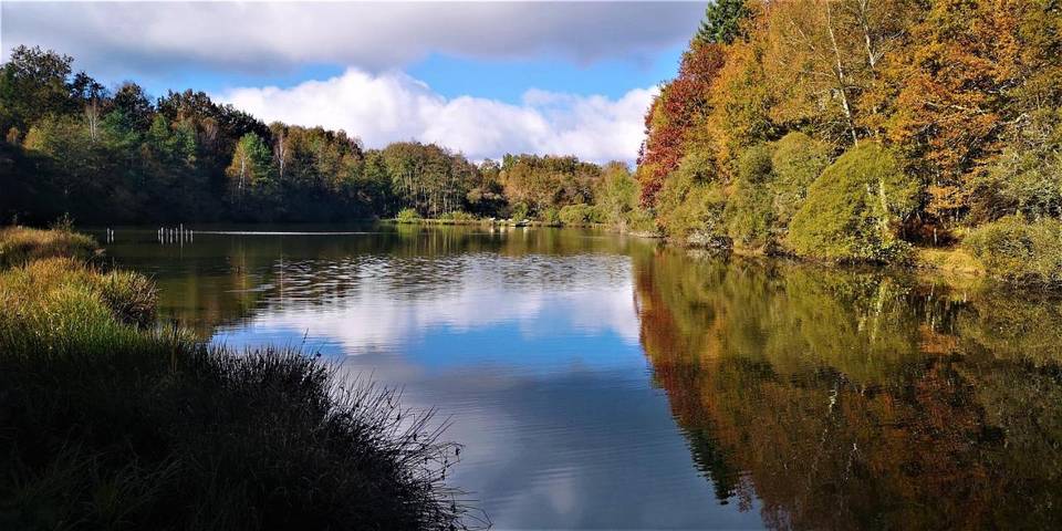 Gîte pour 4 personnes, avec vue sur le lac ainsi que jardin et vue à Saint-Bazile - 2