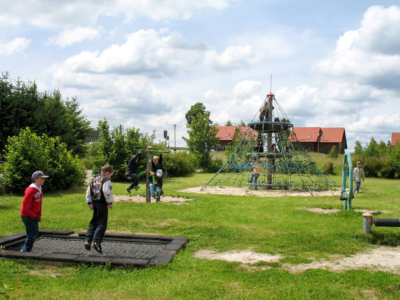 Auerhahn in Hasselfelde, Harzvorland