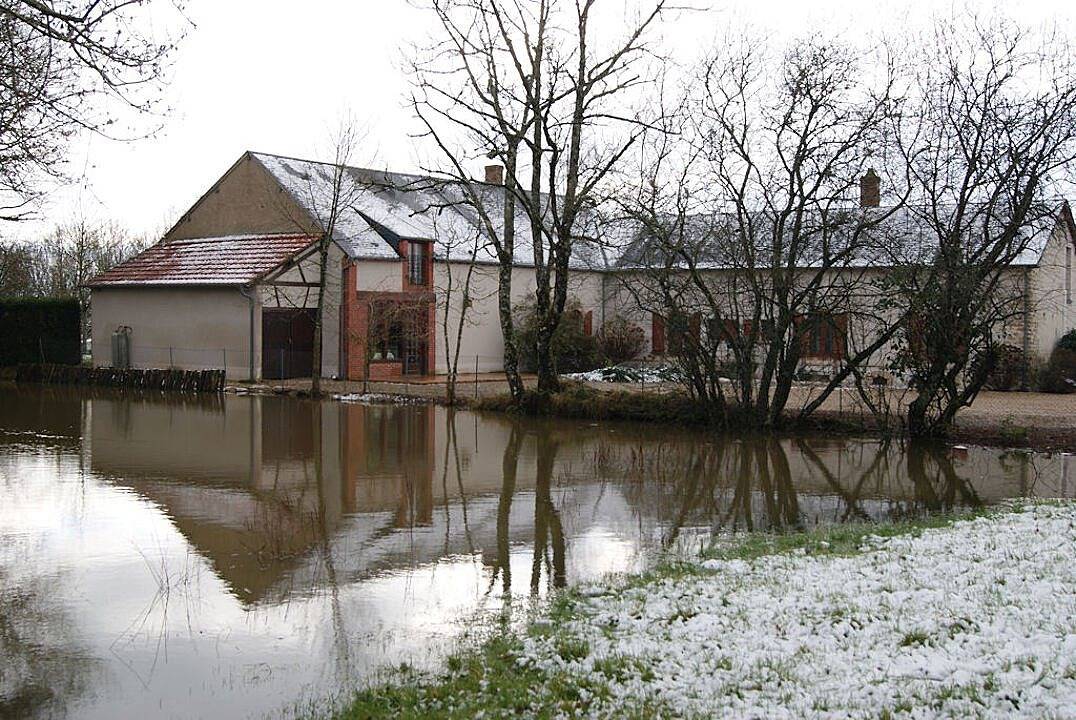 Le Lac aux fées - Flora in Henrichemont, Région de Bourges