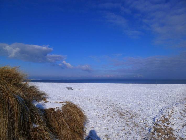 Ferienwohnung für 2 Personen, mit Balkon, mit Haustier in Prerow - 3