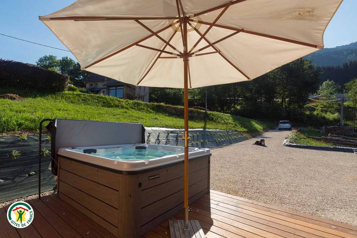 Gîte pour 9 personnes, avec jacuzzi et jardin ainsi que sauna et terrasse dans Le Pleynet Les Sept Laux - 4