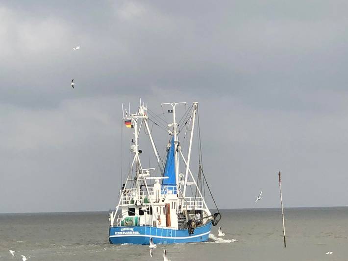 Ferienwohnung für 3 Personen, mit Garten, kinderfreundlich in Butjadingen - 4