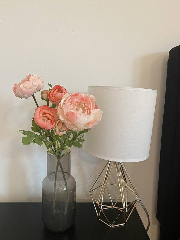 Vacation rental for 5 people in Buena Vista (CO)