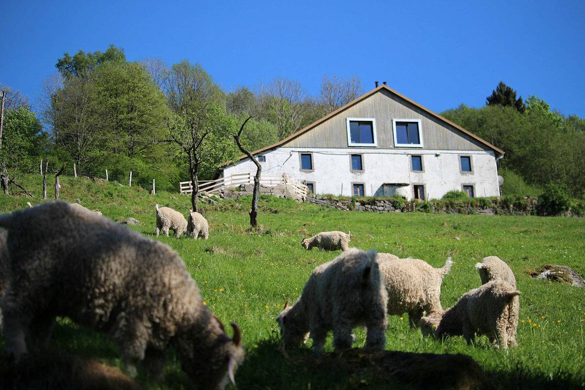Chambres d'hôtes La Ferme sous les Hiez - Chambre Point Mousse in Cornimont, Parc naturel régional des Ballons des Vosges