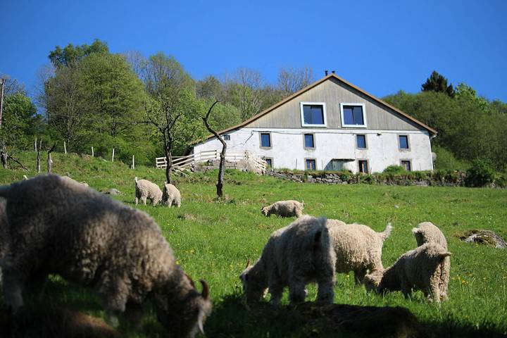 Chambre d’hôte pour 2 personnes, avec jardin dans les Vosges - 3