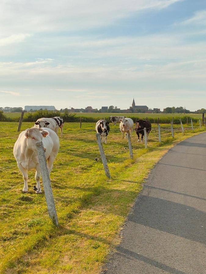 Maison d’hôte pour 5 personnes, avec vue ainsi que jardin et terrasse en Mer du Nord (Belgique) - 2
