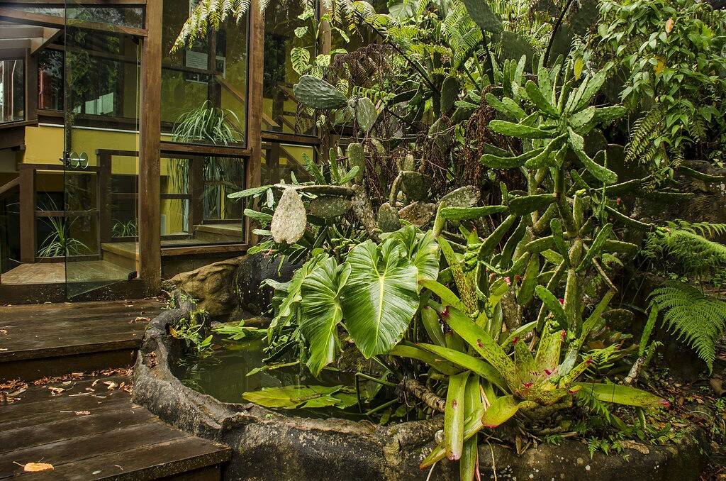 Ihr privater Frühling auf dem Berggipfel mit 360 Ansichten, atemberaubend in Nova Friburgo, Rio de Janeiro (Bundesstaat)