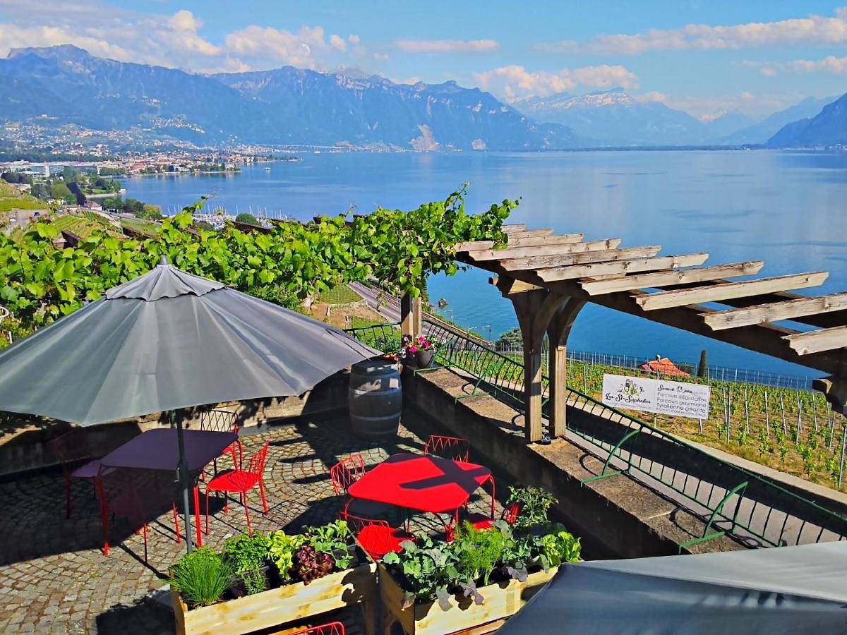 Domaine du Burignon in St-Saphorin (Lavaux), Chardonne