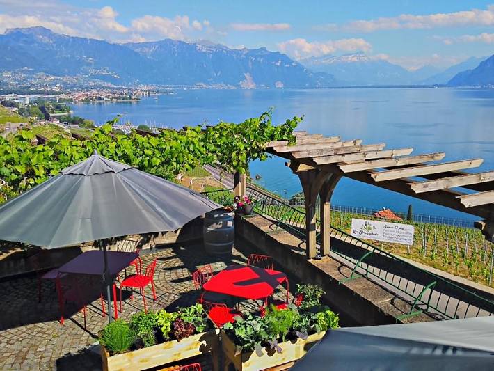 Gîte pour 4 personnes, avec vue ainsi que vue sur le lac et jardin dans Chardonne - 3