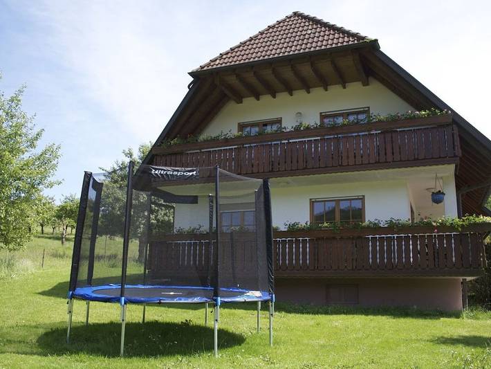 Ferienwohnung mit 2 Schlafzimmer in Seelbach, Mittlerer Schwarzwald