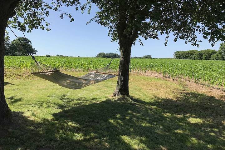 Ferienhaus für 4 Personen, mit Garten und Terrasse in Dollerup - 2