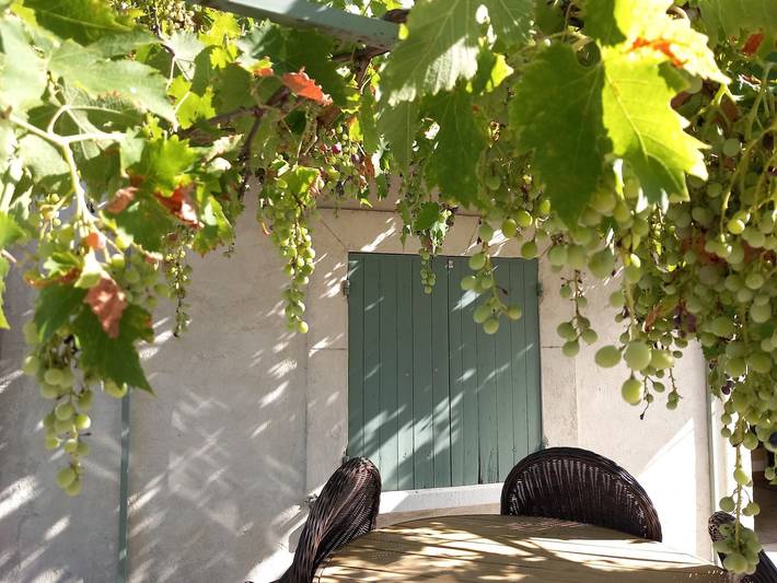 Location de vacances pour 4 personnes, avec jardin et piscine à Violès - 3