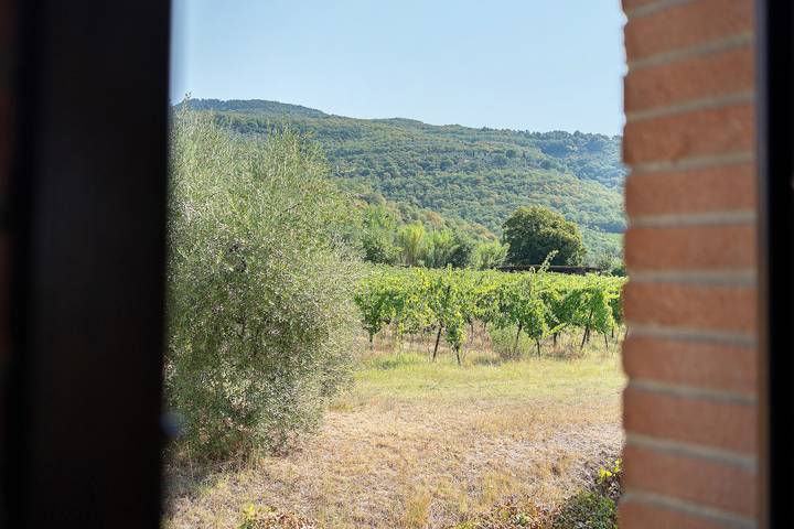 Appartamento intero, Appartamento 'Cantina' con Giardino Condiviso e Wi-Fi in Terranuova Bracciolini, Valdarno