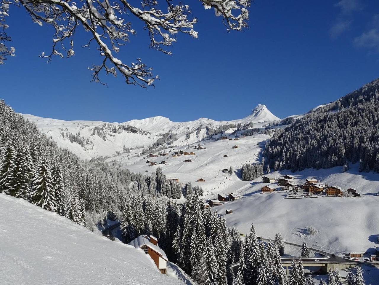 Ganze Ferienwohnung, Pension Edelweiss Bischof Kg - Familienzimmer in Damüls, Bregenzerwald