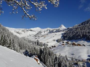 Ferienwohnung für 4 Personen in Damüls, Bregenzerwald, Bild 3