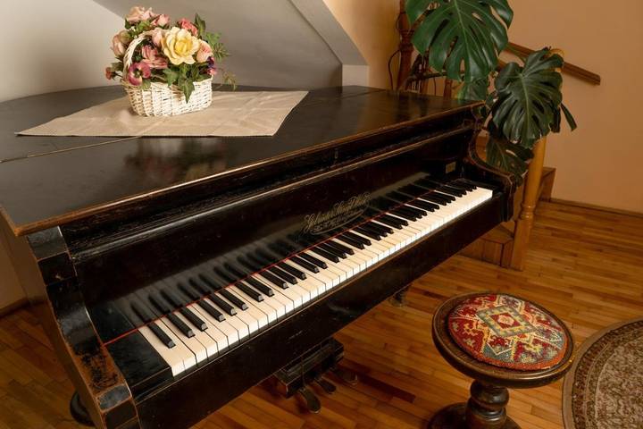 Maison d’hôte pour 2 personnes, avec jacuzzi et jardin dans Sighișoara - 4