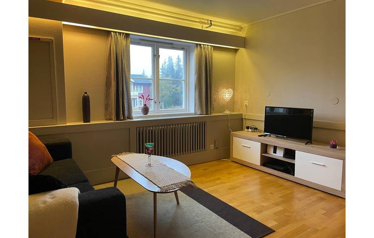 Ganze Ferienwohnung, Ferienwohnung für 5 Personen mit Terrasse in Lillehammer