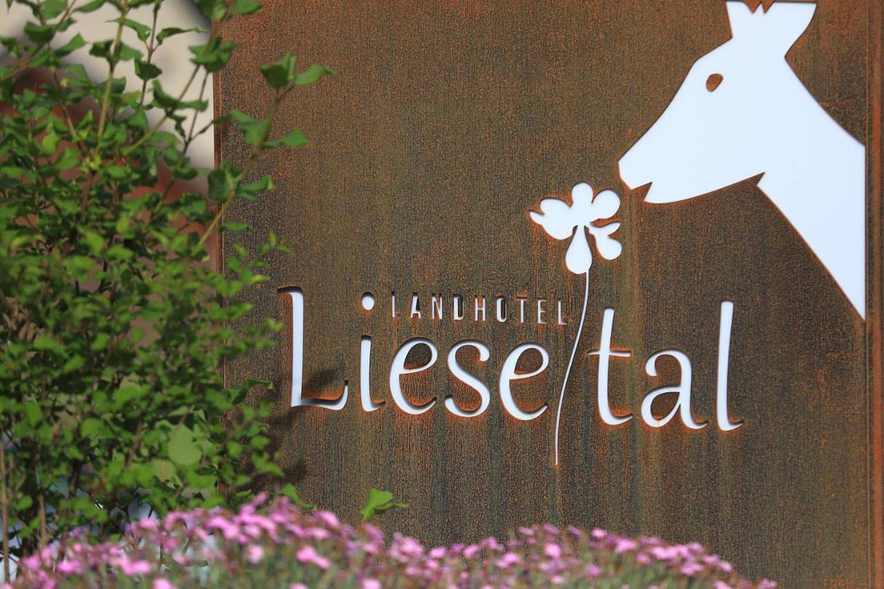 Landidyll Landhotel Liesetal in Liesen, Hallenberg