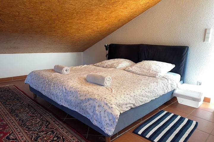 Ganze Wohnung, Gemütliches Dg Apartment mit Blick ins Grüne, Aircon und Highspeed Dsl in Waldsee, Rheinebene