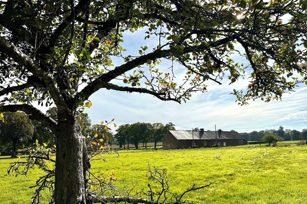 Cottage au cœur d’un domaine forestier in Coglès, Les Portes du Coglais