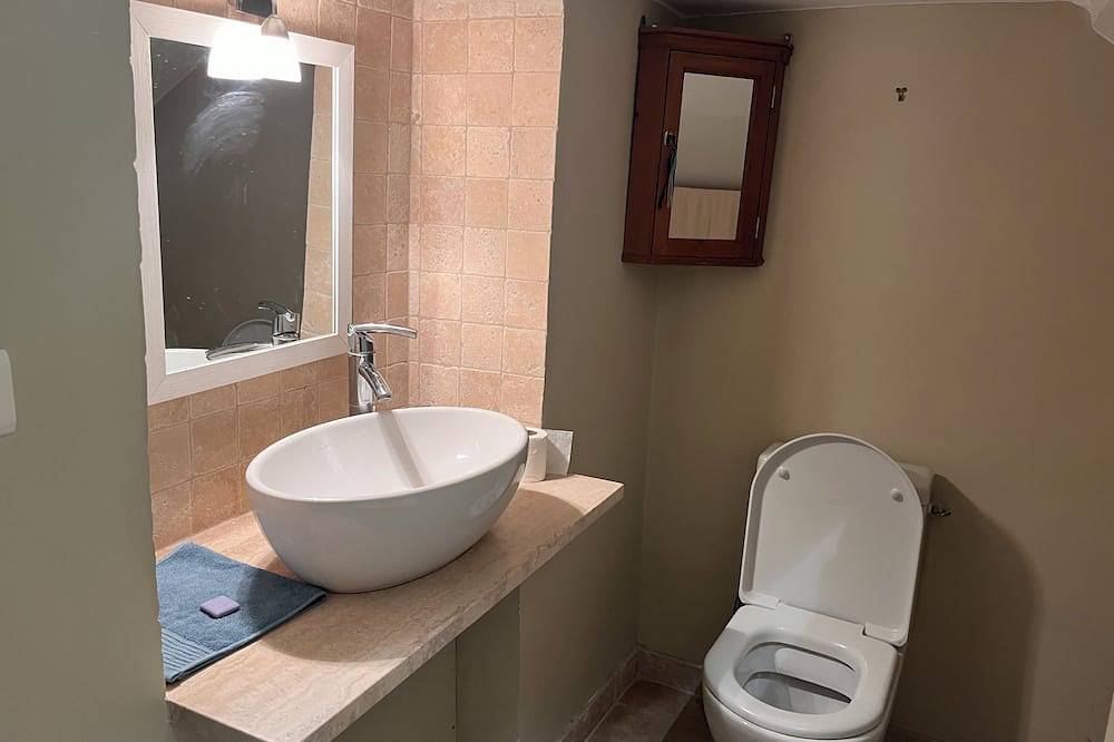 Charming atypical house, La Vigne in Lourmarin in Lourmarin, Parc naturel régional du Luberon