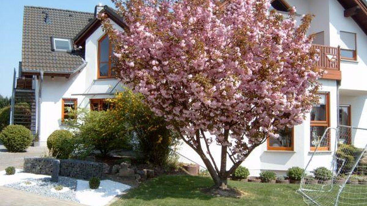 Ganze Ferienwohnung, Ferienwohnung für 4 Personen (45 m²) in Beltheim in Beltheim, Hunsrück