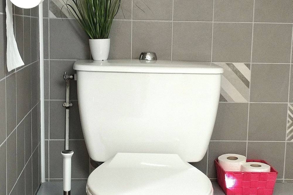 Ganze Wohnung, T2 unter dem Himmel mit Terrasse von 22m2 in Faucon-de-Barcelonnette, Barcelonnette und Umgebung