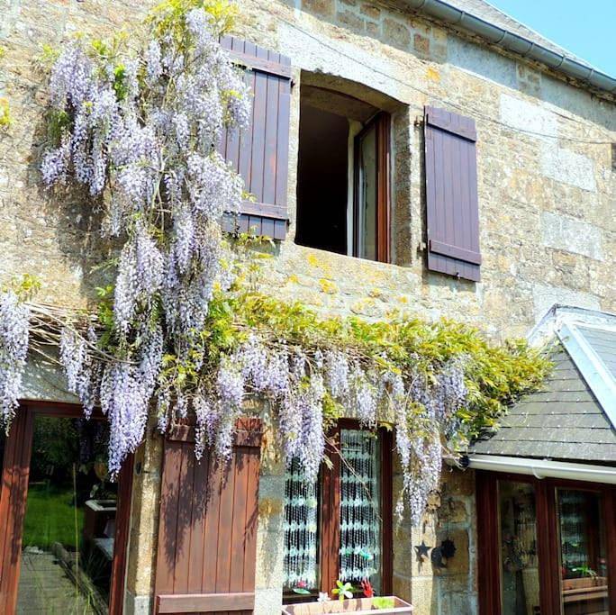 Location de vacances pour 4 personnes, avec jardin, animaux acceptés dans Noues de Sienne - 2