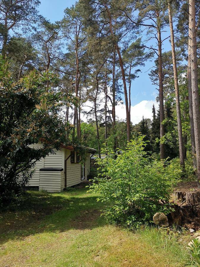 Ferienhaus für 3 Personen, mit Terrasse und Garten in Mardorf - 2
