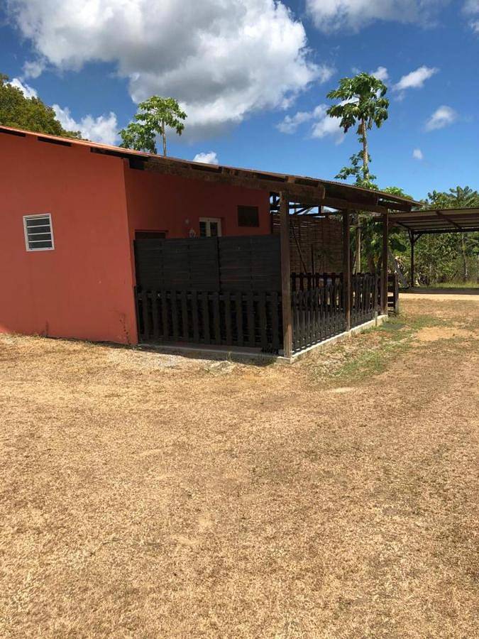 Location de vacances pour 2 personnes, avec terrasse et piscine, animaux acceptés à Montsinéry-Tonnegrande - 2