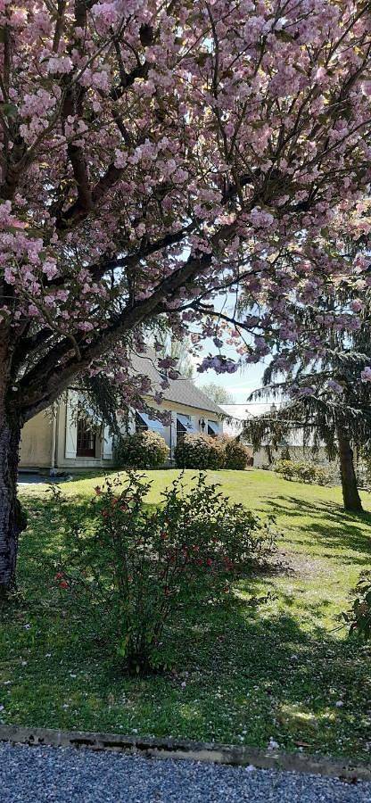 Location de vacances pour 5 personnes, avec jardin à Saint-Clément-des-Levées - 2