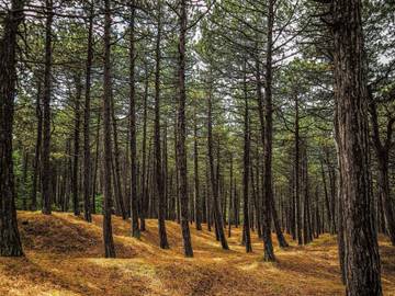 Feriehus til 7 Personer i Rørvig, Odsherred, Bilde 3
