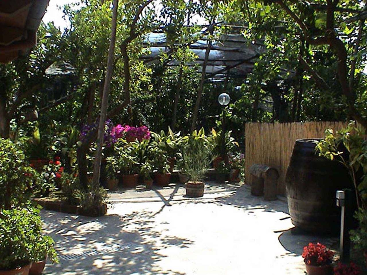 Monolocale intero, Monolocale con aria condizionata, internet e terrazza condivisa  in Sorrento, Penisola Sorrentina