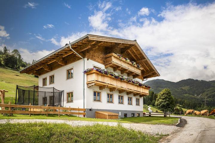 Hütte für 7 Personen, mit Garten in Mühlbach am Hochkönig - 3