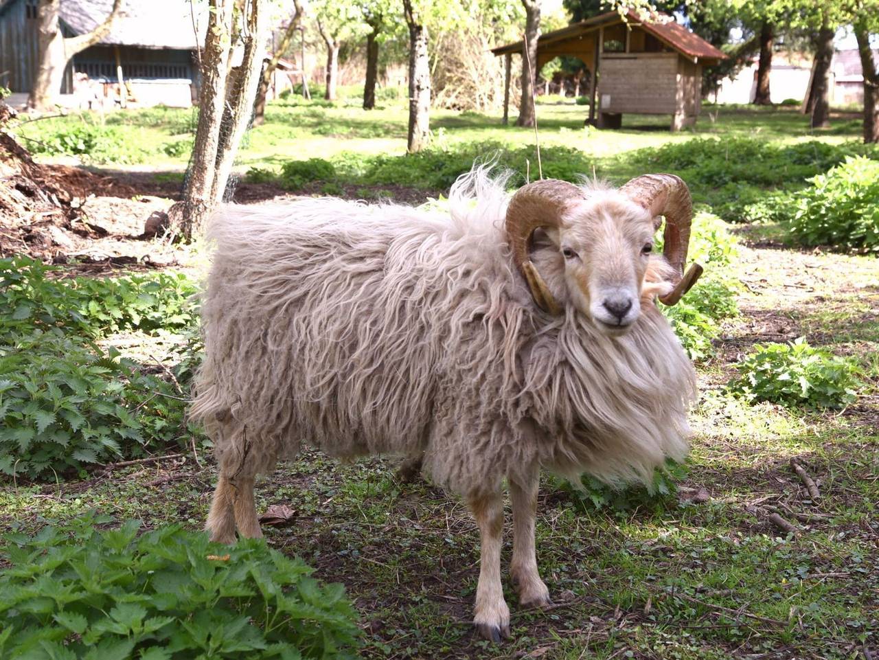 Willis Kate - gemütliche Bauernkate in Lelkendorf, Mecklenburgische Schweiz